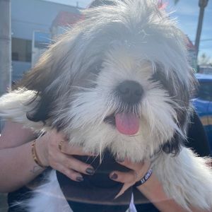 Meet your Posher, Breanna